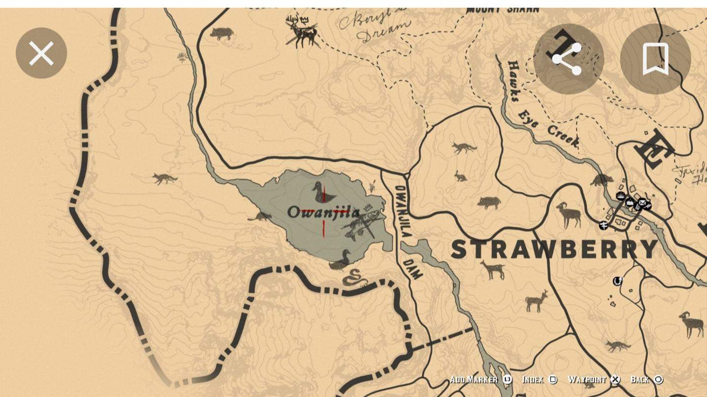 Wo findet man Biber in Read Dead Redemption 2? (Spiele und Gaming, Red ...