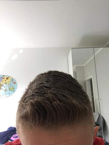 Bild zum Beitrag