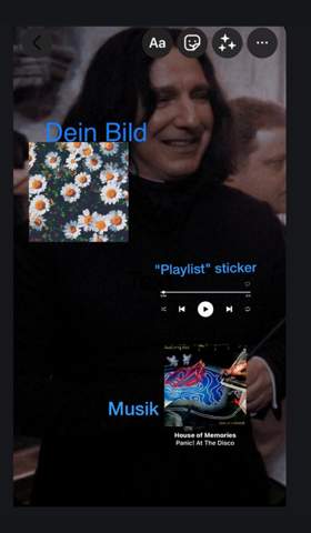 Bild zum Beitrag