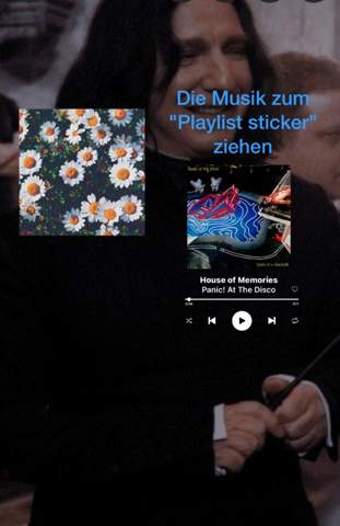 Bild zum Beitrag