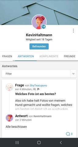 Bild zum Beitrag