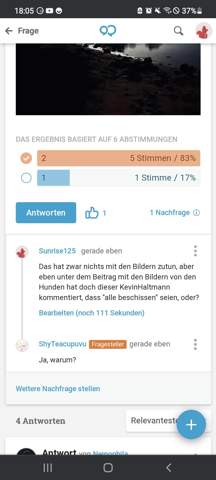 Bild zum Beitrag