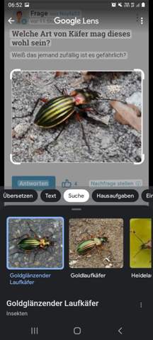 Bild zum Beitrag