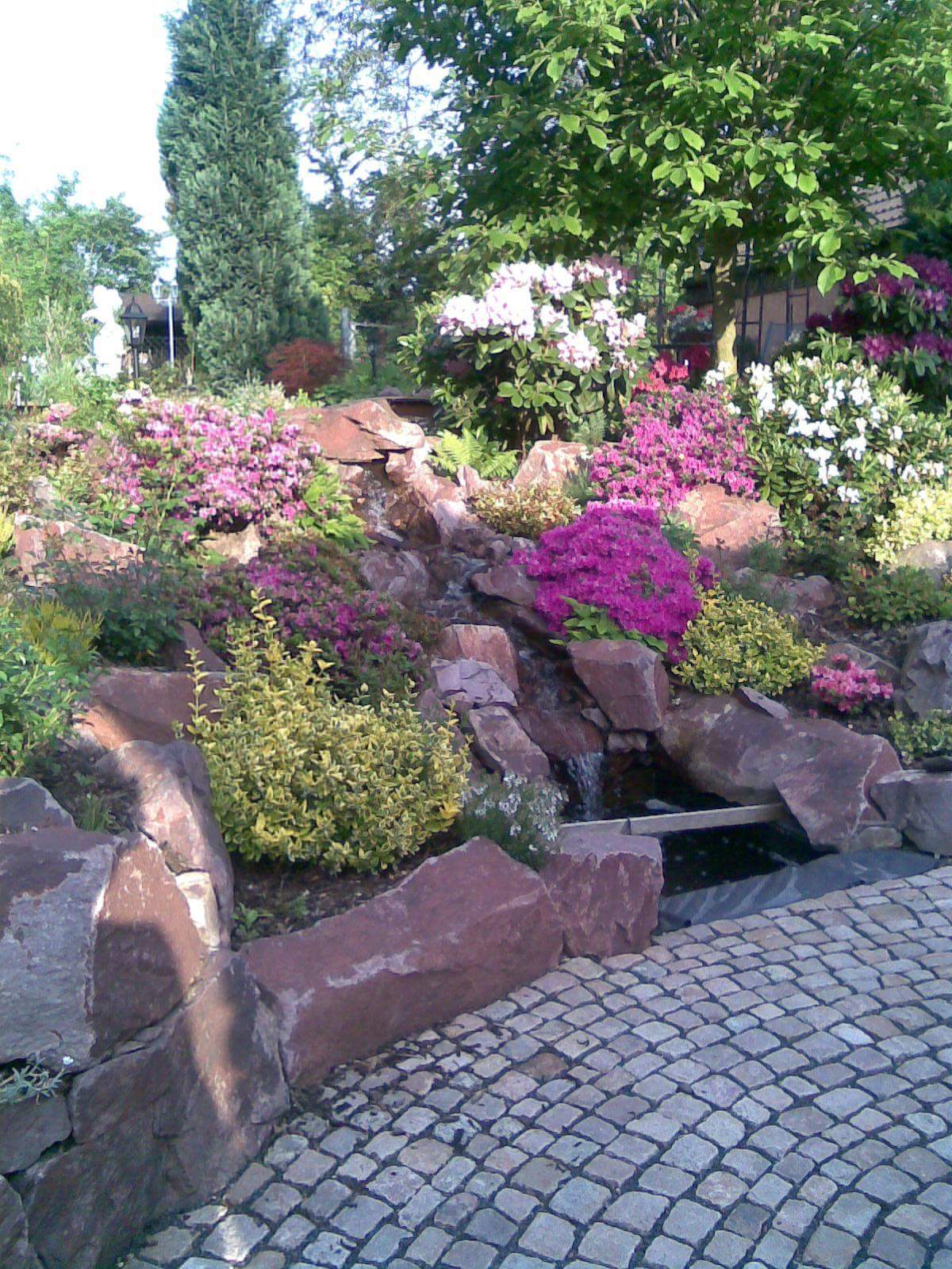 Robuste Bepflanzung um steilen Hang zu befestigen? (Pflanzen, Garten