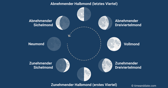 Anzahl der Mondphasen? (Astronomie, Mond)