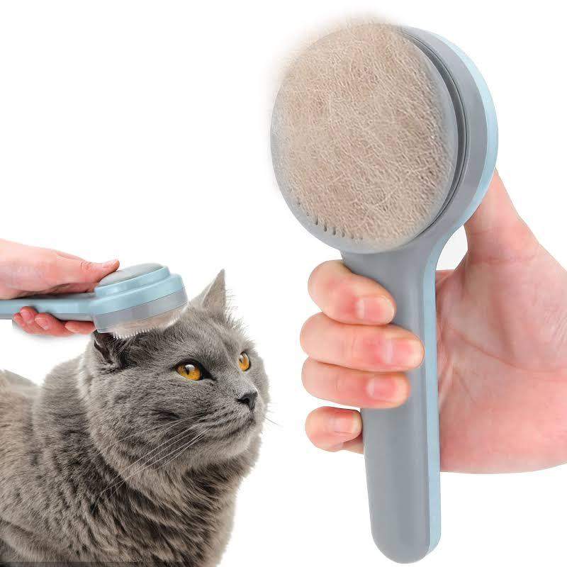 Was tun gegen schuppen bei katzen? (Tiere, Katze)