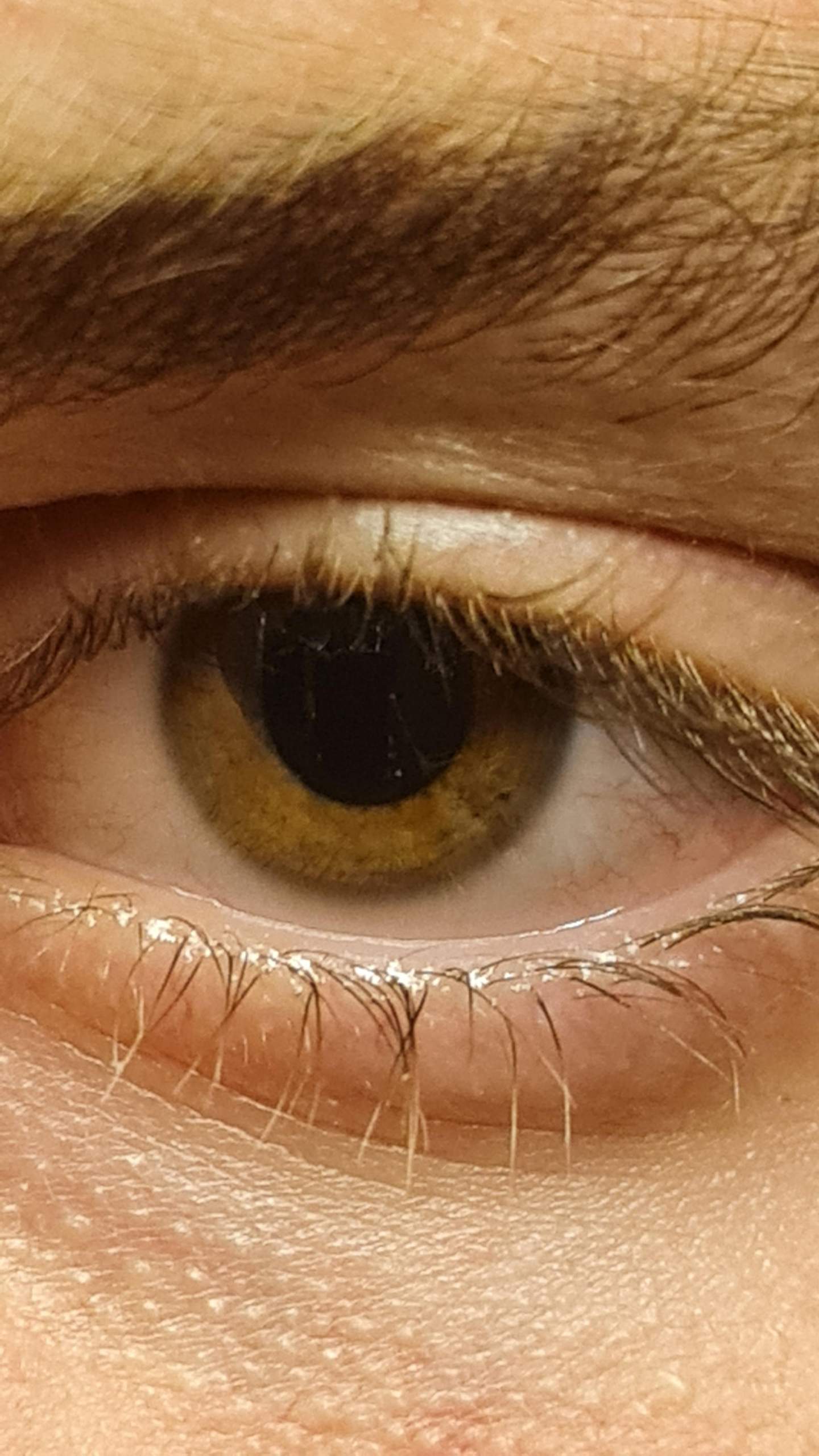 Speed die Pupillen kleiner? (Augen, Pupille)