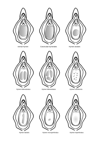 Dildo bevor dem ersten mal? (erstes Mal) Dildo bevor dem ersten mal? (erstes Mal)