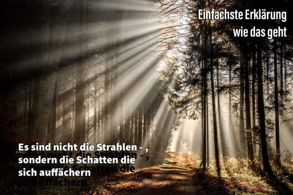 Bild zum Beitrag