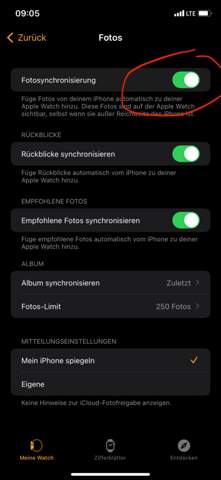 Bild zum Beitrag