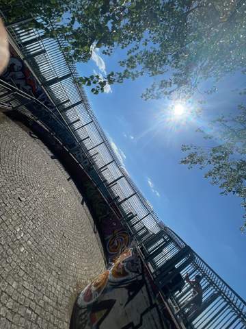 Bild zum Beitrag