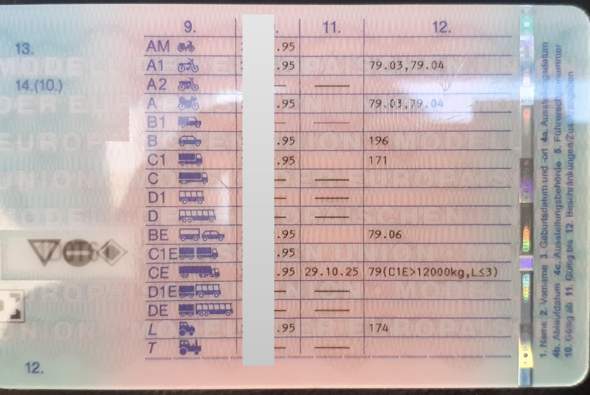 Hat einer ein Foto, wie es im neuen Führerschein B196 eingetragen wird? Und Bei meinem ...
