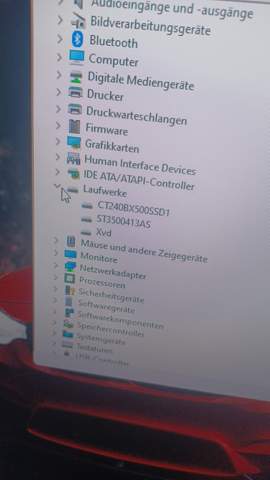 Bild zum Beitrag