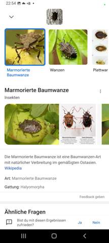 Bild zum Beitrag