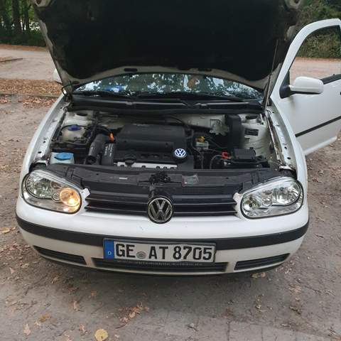 Bild zum Beitrag