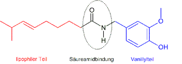 Capsaicin funktionelle Gruppe? (Chemie, Chemieunterricht, Chemiestudium)
