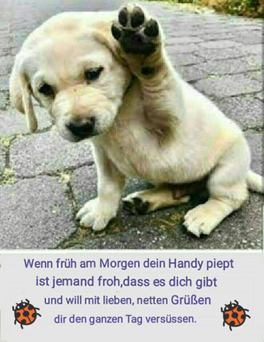 - (Gesundheit und Medizin, Psychologie, Freundschaft)
