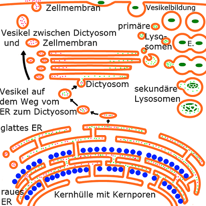 Bild zum Beitrag