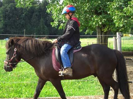 so geht es wenn man nicht durchs genick reitet - (Pferde, reiten, Genick)