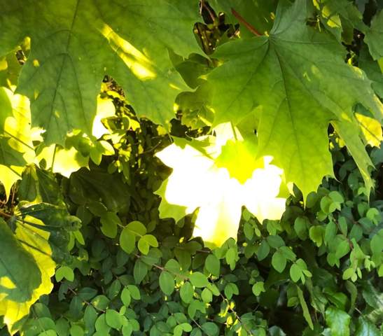 Bild zum Beitrag