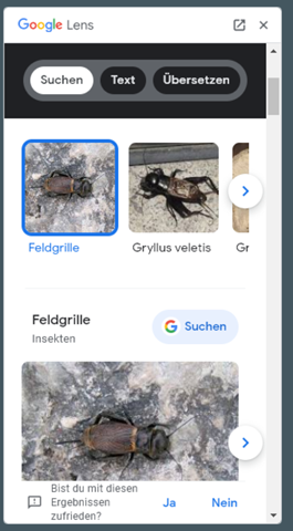 Bild zum Beitrag