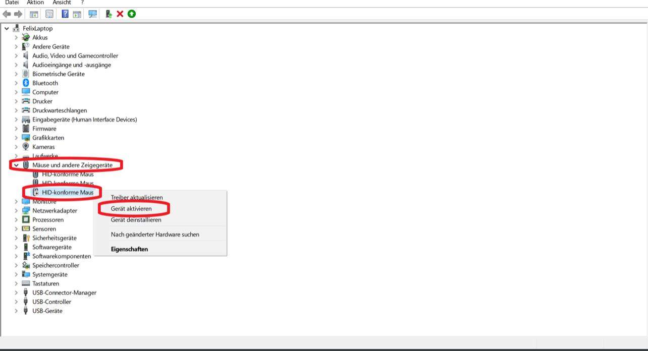 Maus und Touchpad funktioniert nicht? (Laptop)