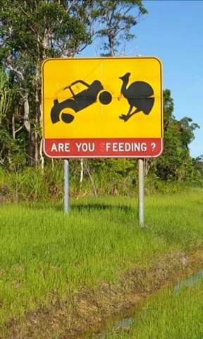  - (Tiere, Australien)