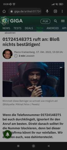 Bild zum Beitrag