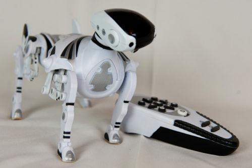 Kennt ihr solche Roboterhunde wie Aibo? Und wie findet ihr solche
