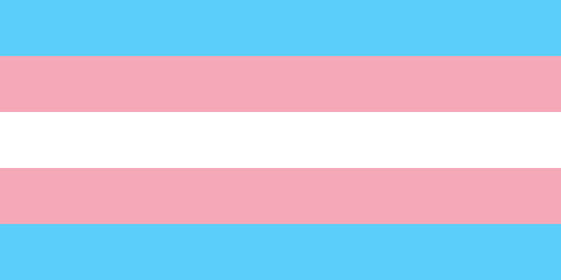  - (LGBT+, Geschlecht, Transgender)