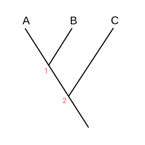 kann jemand mir bitte bei der aufgabe 2 helfen? (Evolution)