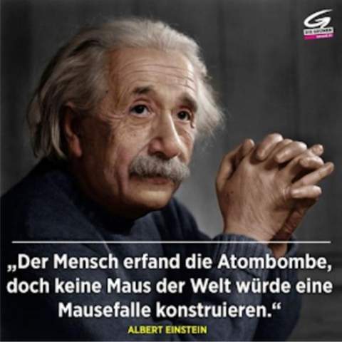 Bild zum Beitrag