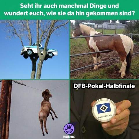  - (Fußball, Bundesliga, DFB)