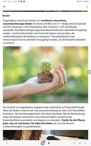 Bild zum Beitrag