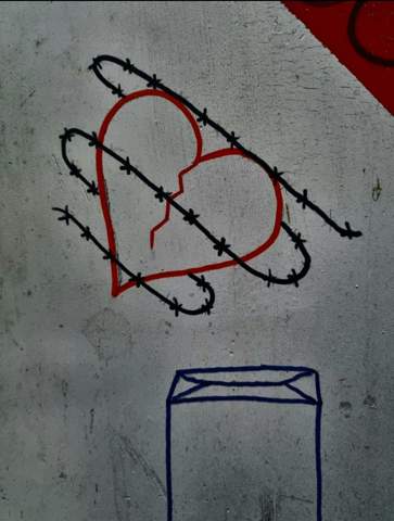 Bild zum Beitrag