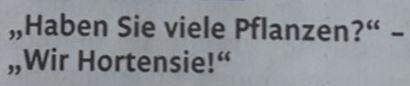 - (Internet, Grammatik, Social Media)
