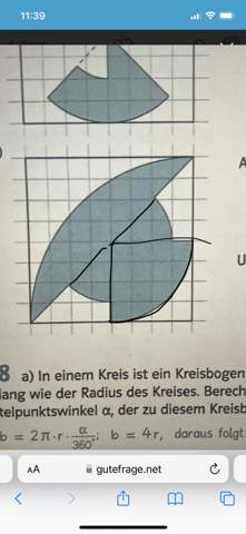 Bild zum Beitrag