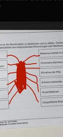 Bild zum Beitrag