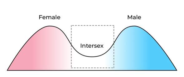  - (Sex, Biologie, LGBT+)