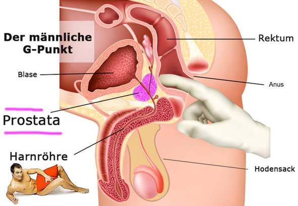 Stehen so viele Leute auf analen spa und wie oder mit was "anale befriedigung"? (Sex, Jungs, Sexualitt) Stehen so viele Leute auf analen spa und wie oder mit was "anale befriedigung"? (Sex, Jungs, Sexualitt)