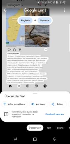 Bild zum Beitrag
