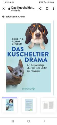 Bild zum Beitrag