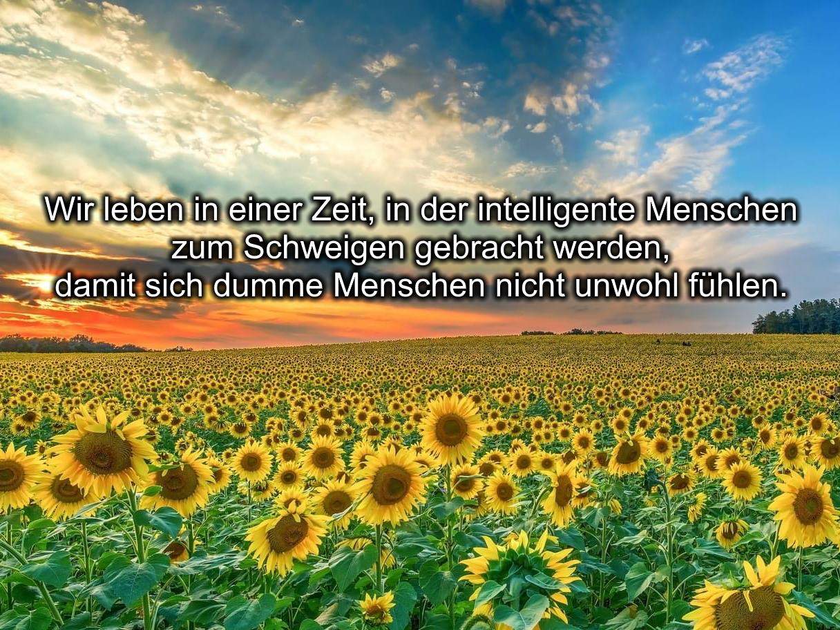 Werden die Menschen immer dümmer? (Intelligenz, Menschheit)