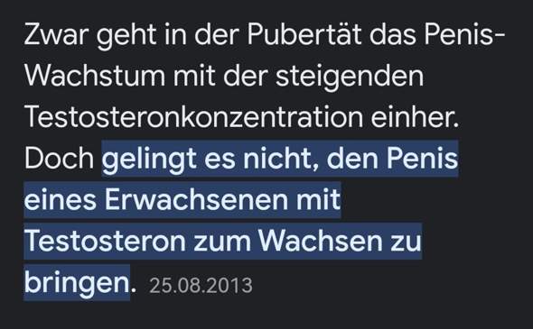 Bild zum Beitrag