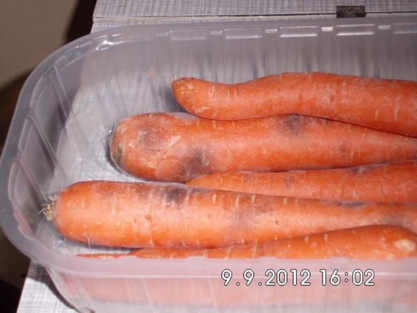 Möhren 2 Tage nach dem Kauf - (Lebensmittel, Haltbarkeit, Karotten)