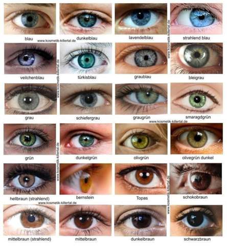  - (Augen, Augenfarbe)
