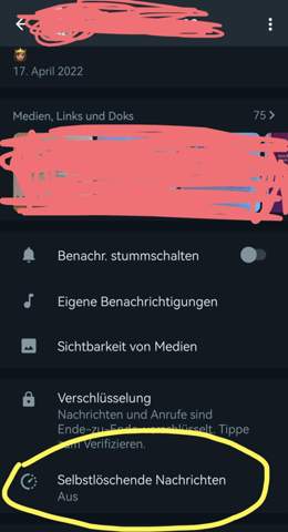 Bild zum Beitrag