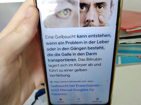 Bild zum Beitrag