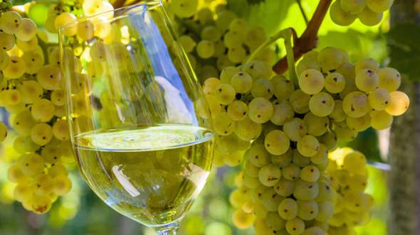 - (Frankreich, Wein, Weißwein)