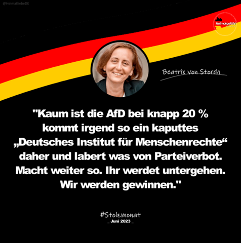 Bild zum Beitrag